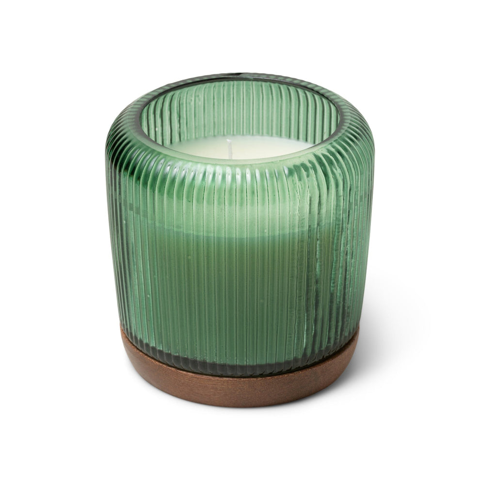 Tree Farm Candle by Paddywax on white background