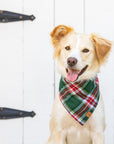 Holly Jolly Flannel Dog Bandana on dog