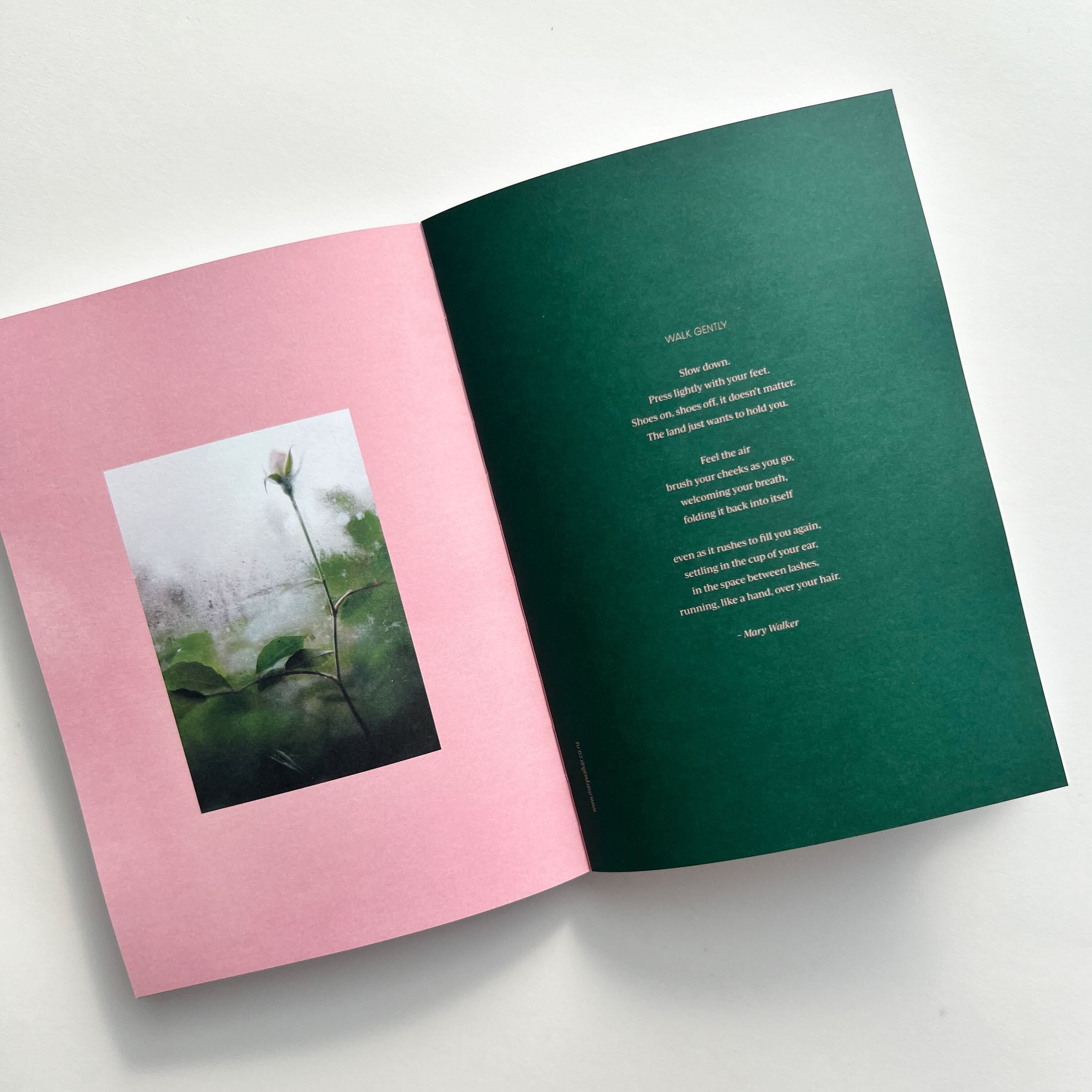 Pink and Green inside pages of A Guided Discovery of Gardening