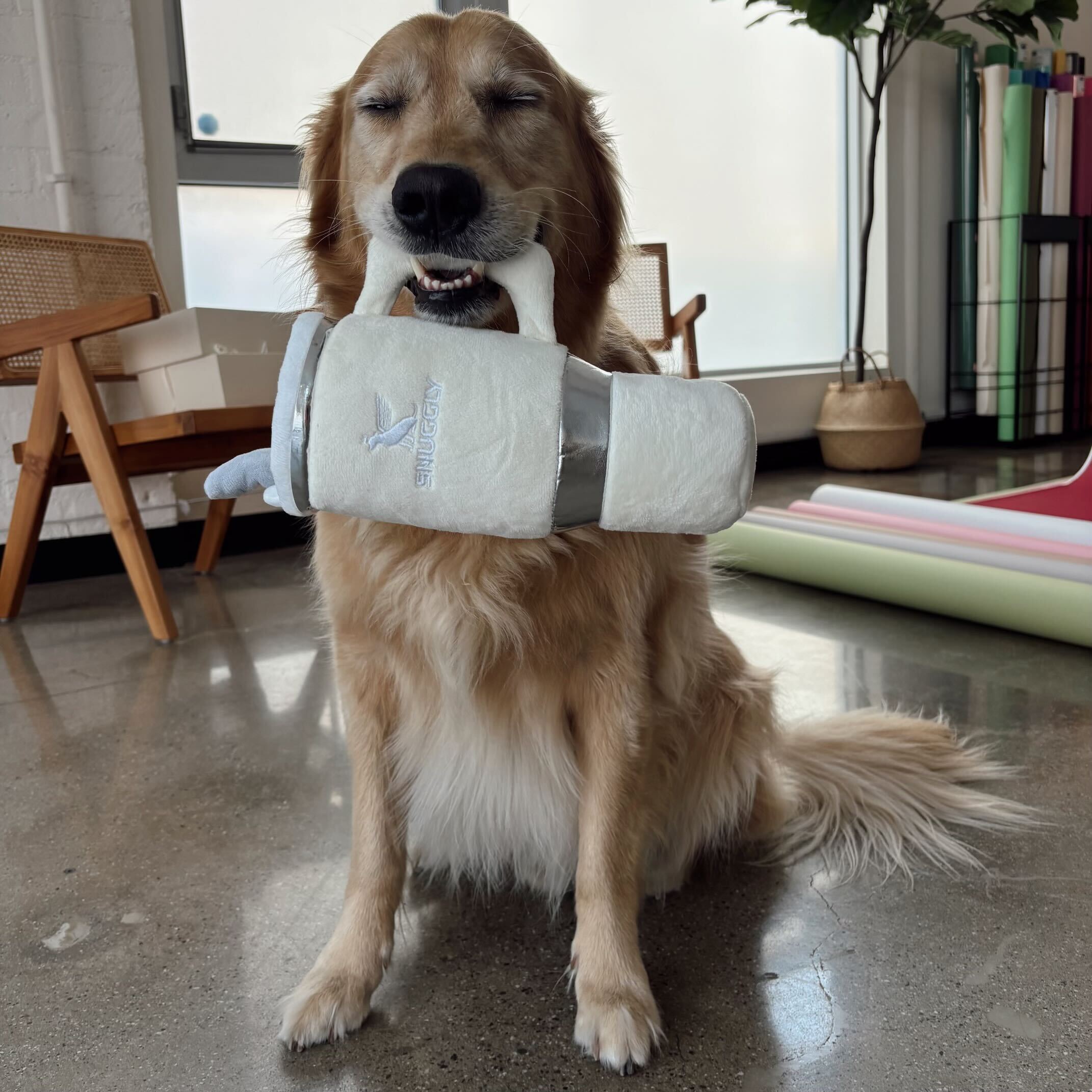 golden retriever holding snuggly cup in his mouth