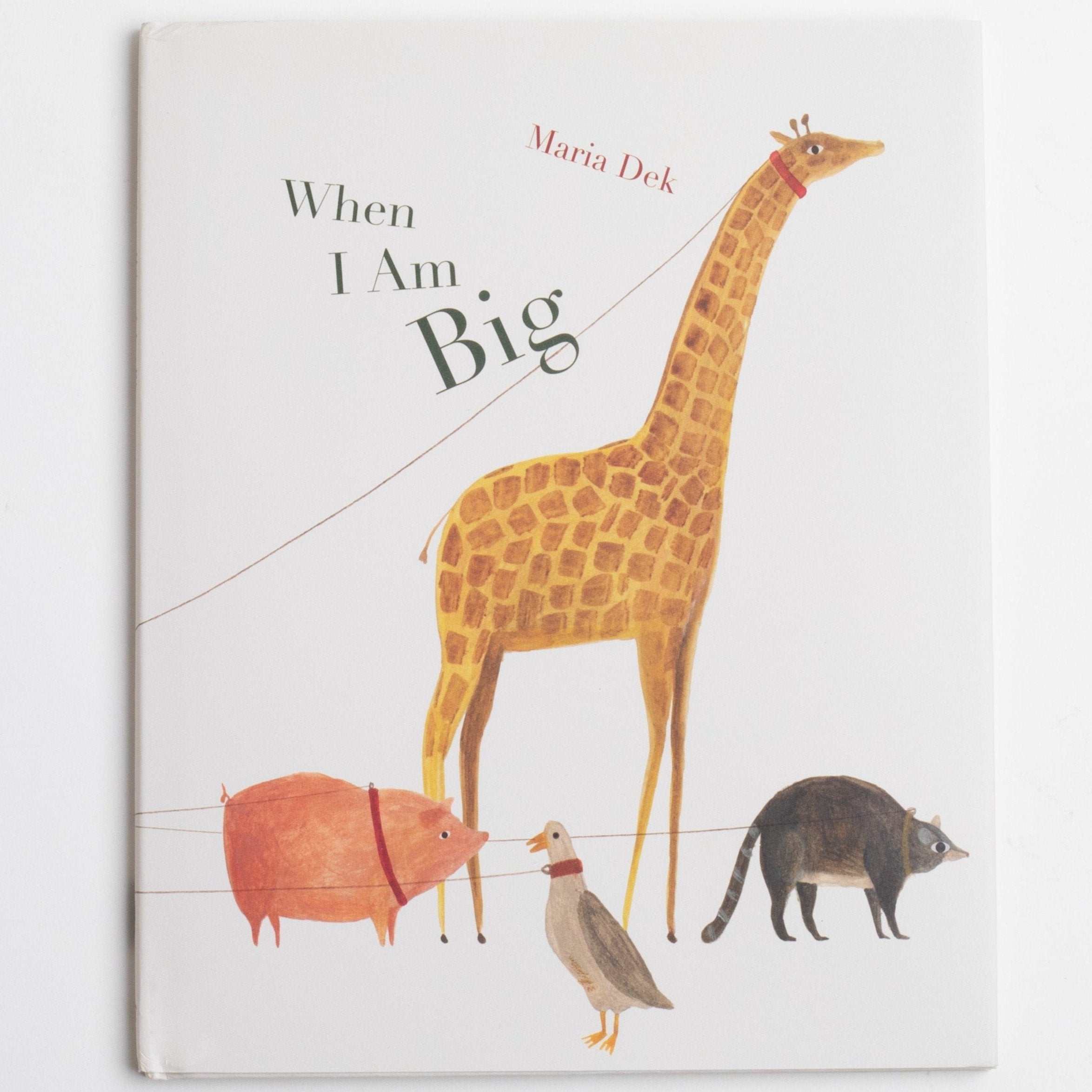 Cover of "When I Am Big" with giraffe, pig, goose, and raccoon