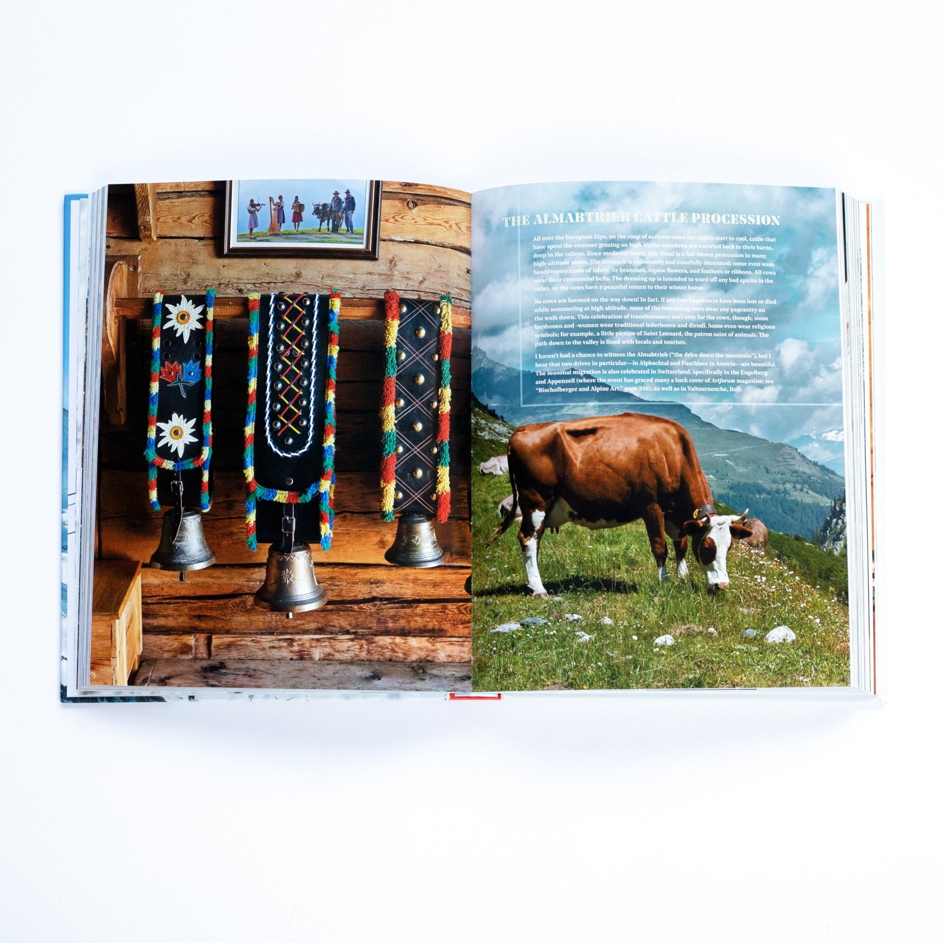 Alpine Cooking opened to left page showing three silver hanging bells with embroidered straps in a ranch, and the right showing a cow grazing in a field with text over the image describing the cattle procession. 