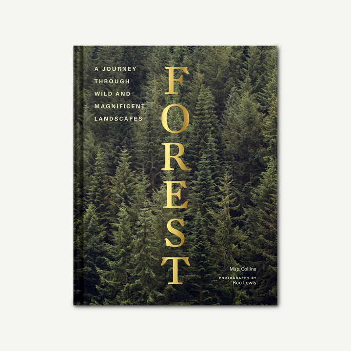 Forest - BOXFOX