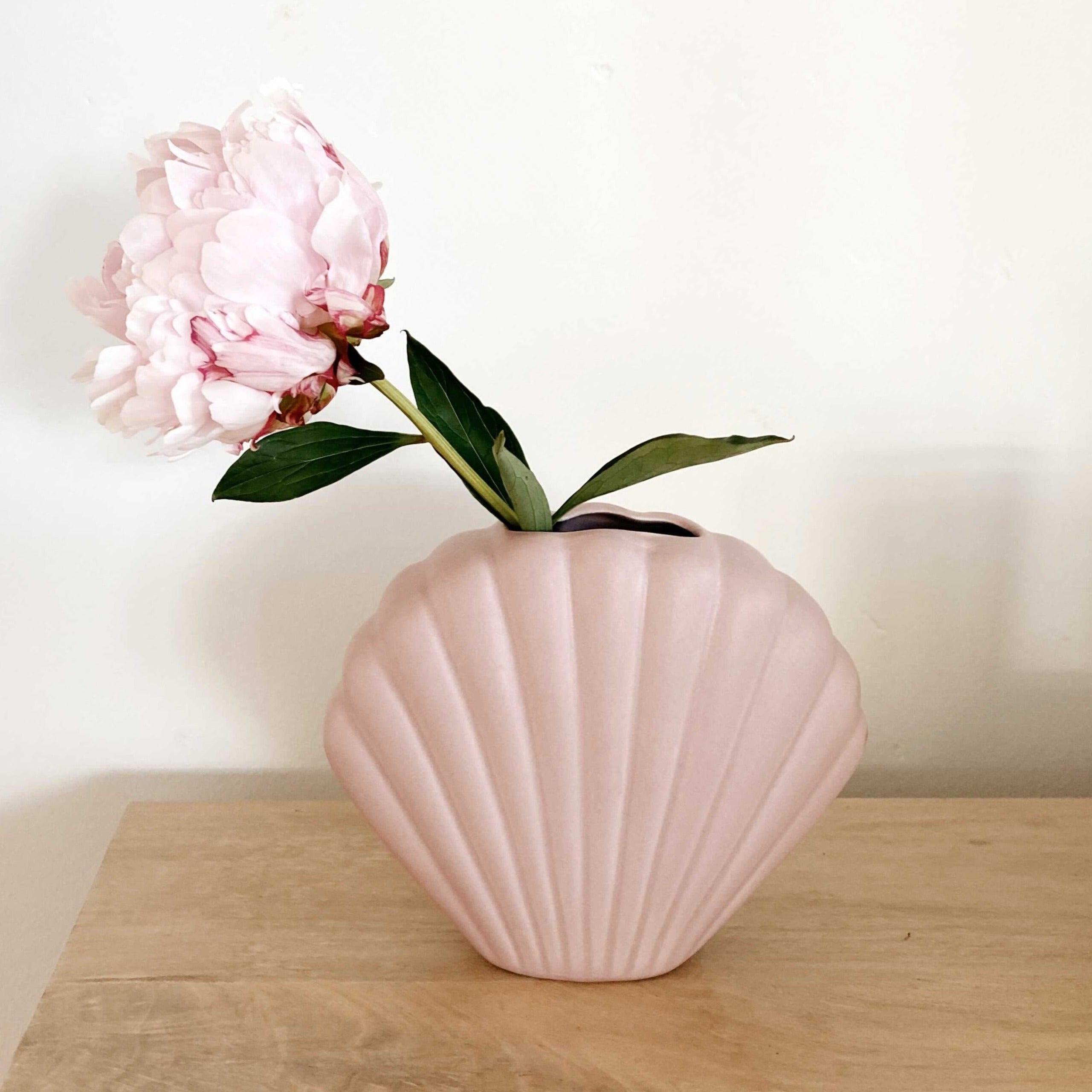 Shell vase with single pink peony.